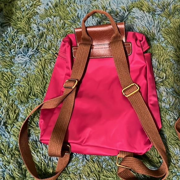 Blue and Maroon Backpacks - Picture 4 of 7